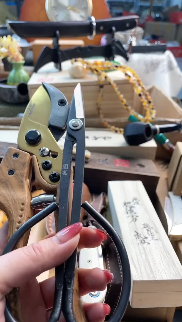 【闪购商品】瓷片jianz88888888888888