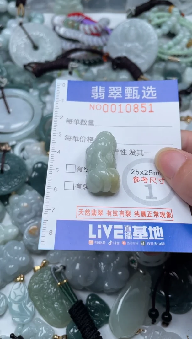 颈饰未镶嵌翡翠10851