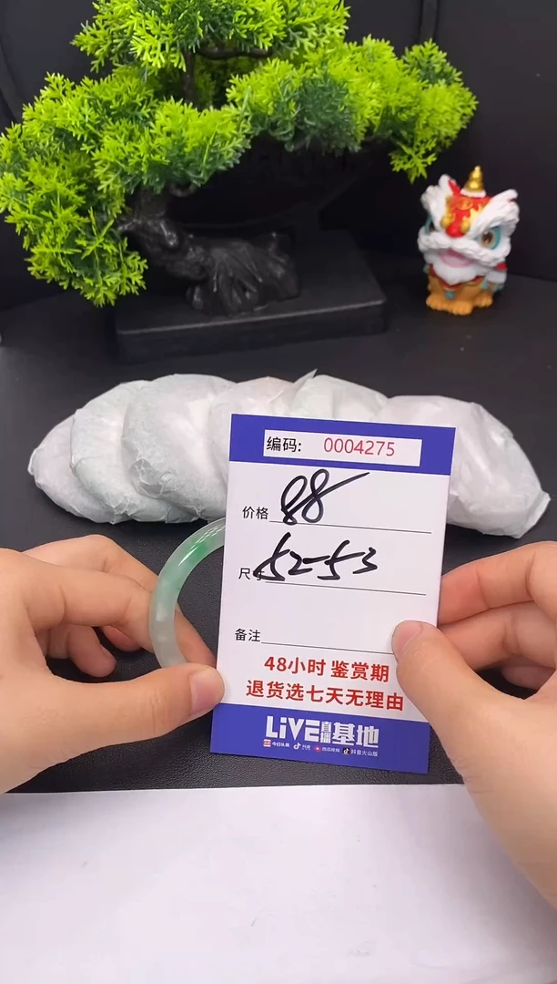 未镶嵌手镯翡翠0004275