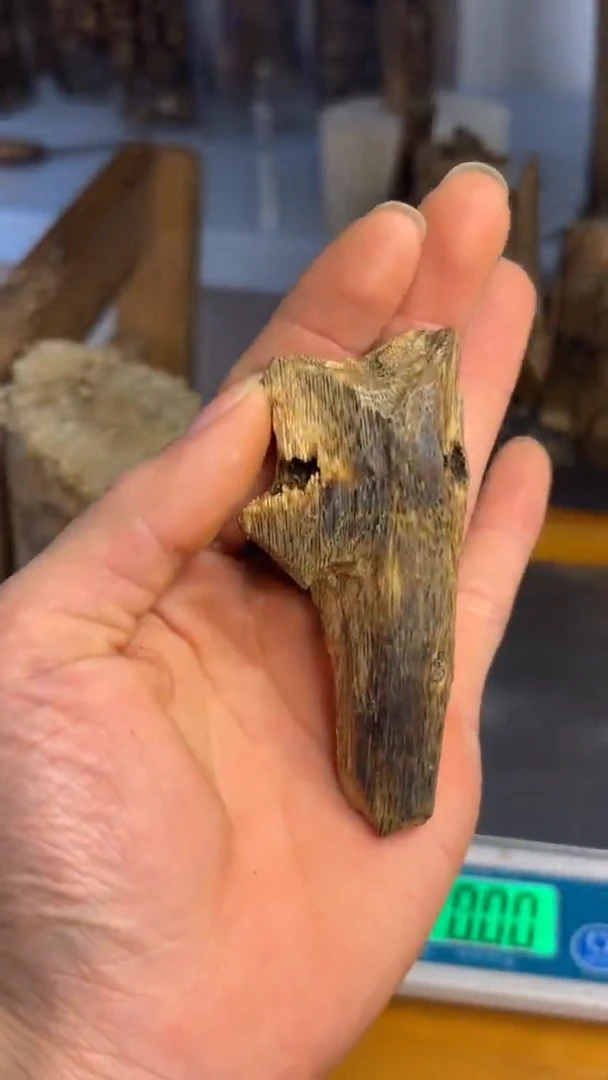 沉香沉香碎屑张勺子品种9克