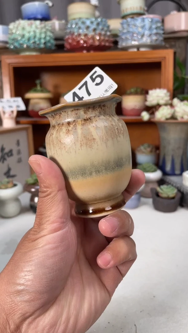 瓷片475小芳直播编号