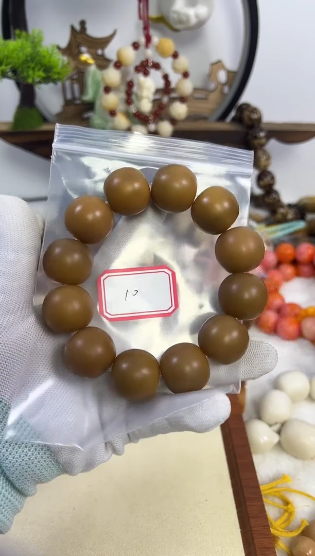 菩提根/象牙果手串22干磨 10