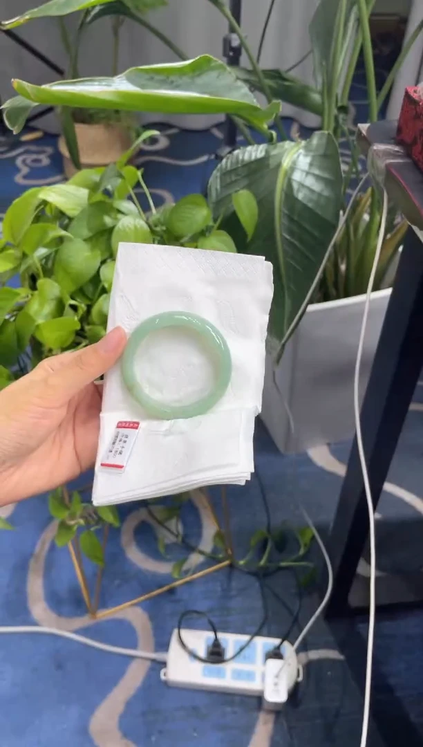 未镶嵌手镯翡翠4829