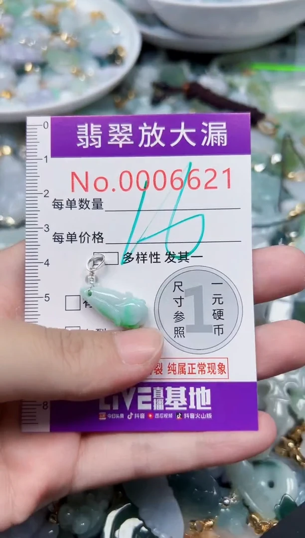 颈饰未镶嵌翡翠6621