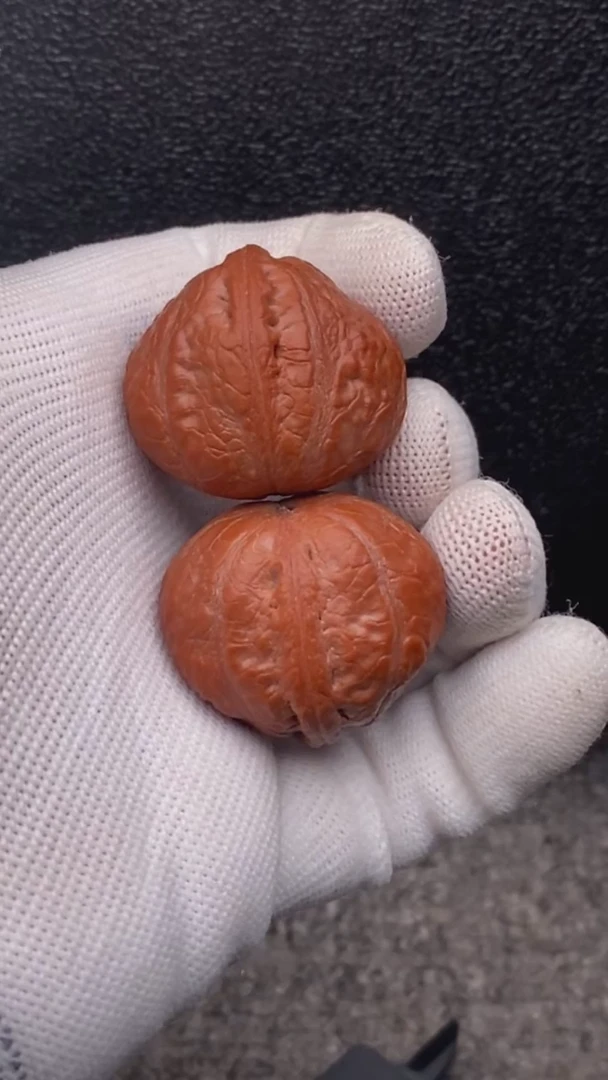 【闪购商品】文玩核桃把件元宝墩