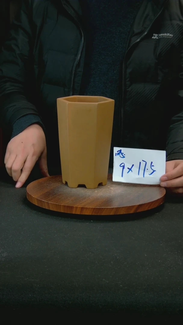 【闪购商品】紫砂Y30