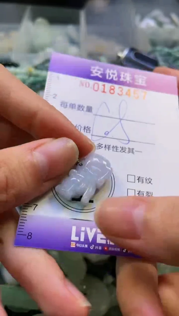 翡翠未镶嵌颈饰闪购0183457