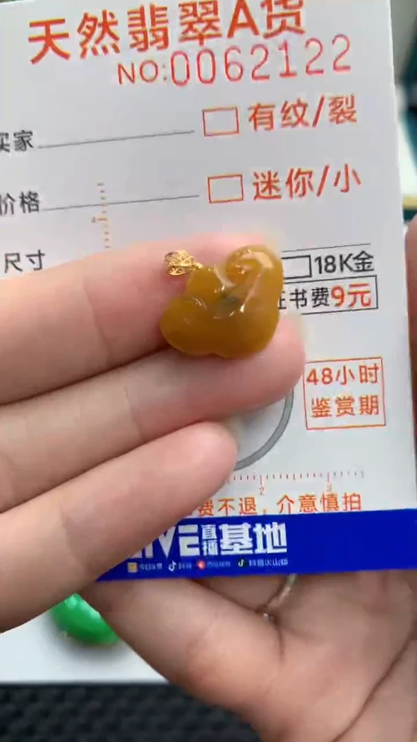 【闪购商品】翡翠颈饰18K金镶嵌            8