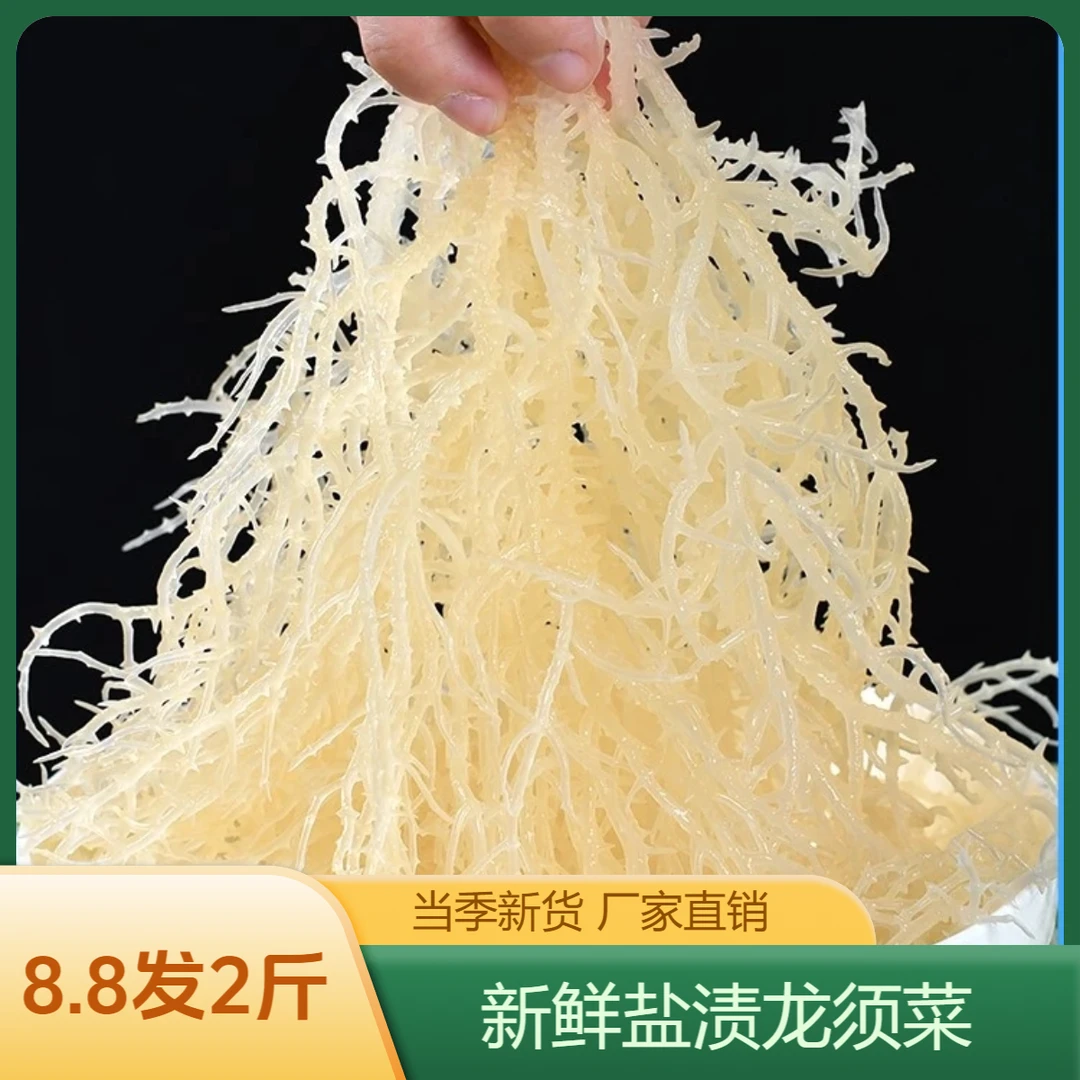 海草海石花菜海菜鹿角菜当季新货厂家直销凉拌菜海发菜盐渍龙须菜