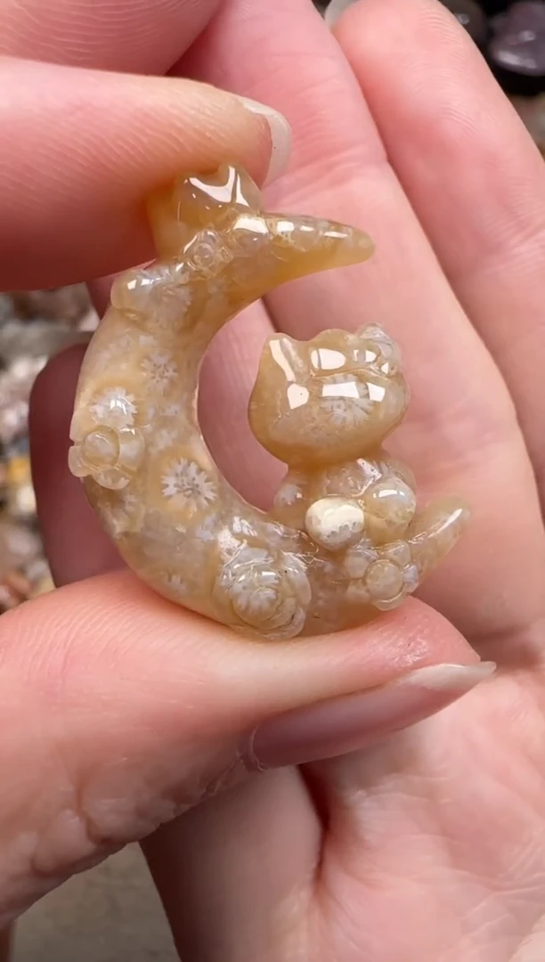 硅化珊瑚（珊瑚玉）未镶嵌颈饰414
