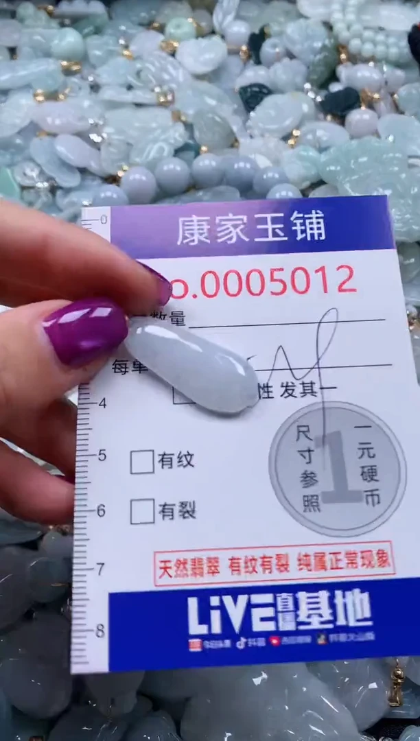 颈饰未镶嵌翡翠5012