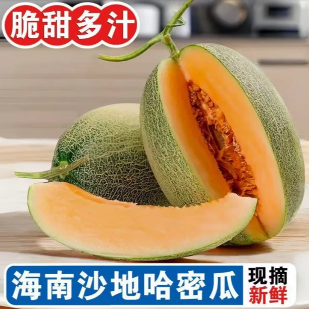 【爆甜多汁】正宗海沙地哈密瓜新鲜采摘应季水果甜瓜产地直发
