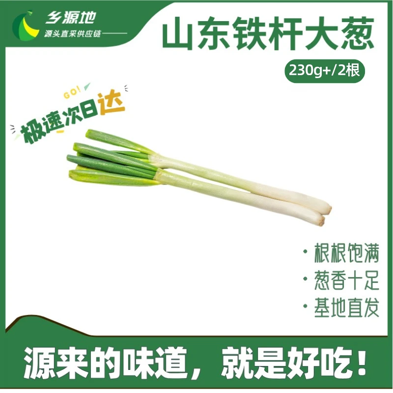 山东铁杆大葱  2根 230g+/份