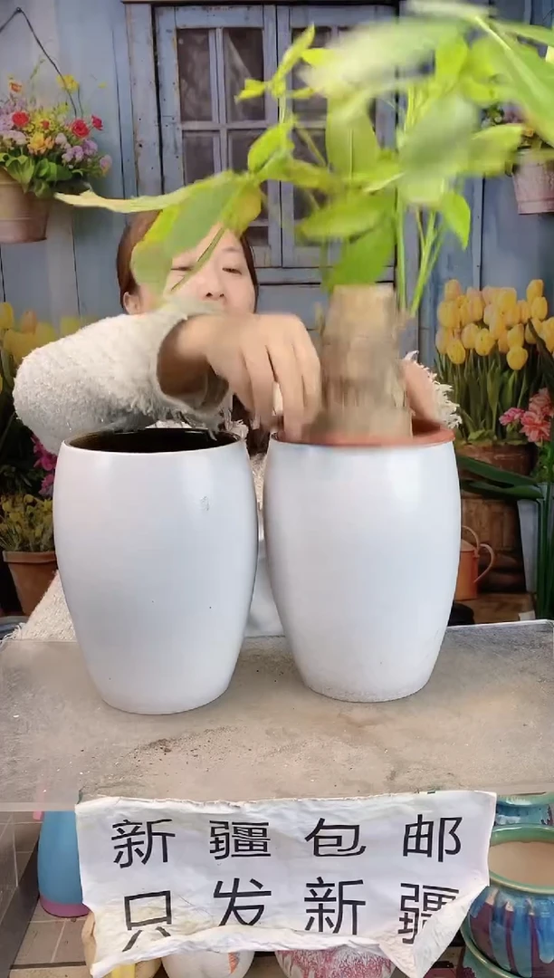 045白色蛋形两个装  口15高23