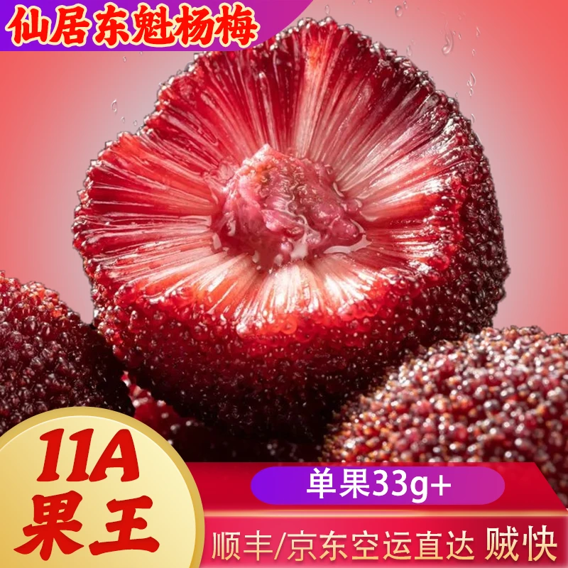 【果王】正宗仙居东魁杨梅新鲜采摘应季水果礼盒包装顺丰冷链发货