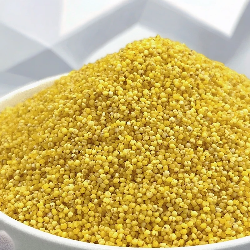 【老王专属】黄小米2024年新米颗粒饱满颜色金黄口感绵软味道可口