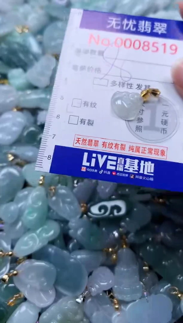 颈饰未镶嵌翡翠8519