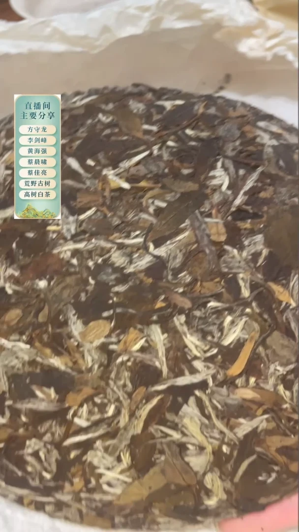 2010年特级炭焙白牡丹饼350克