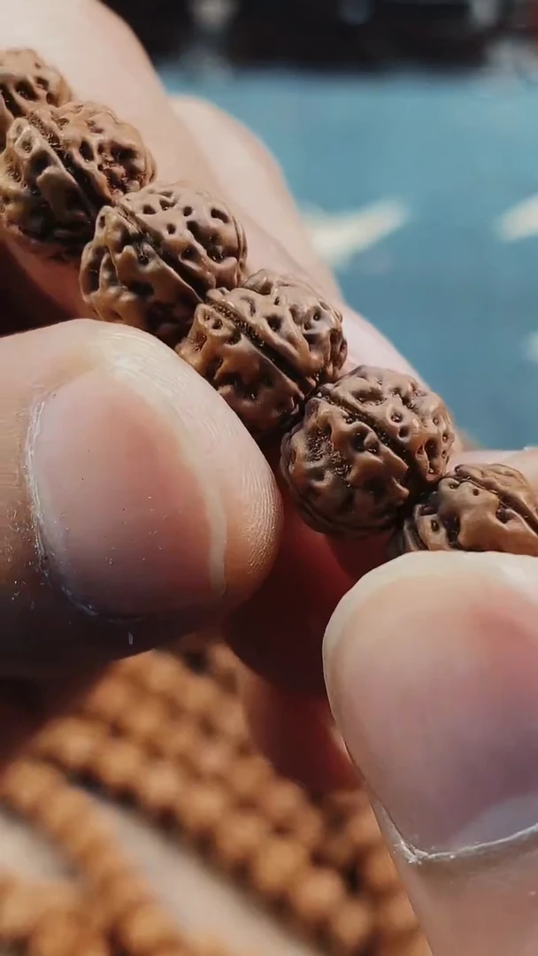 金刚菩提吊坠527原桩盘龙纹尺寸8-13+钢丝刷