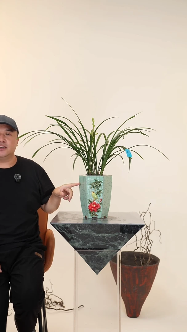 全部花朵040号【一物一拍】艺术盆景