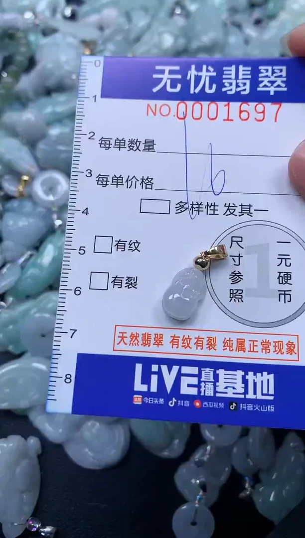 颈饰未镶嵌翡翠1697