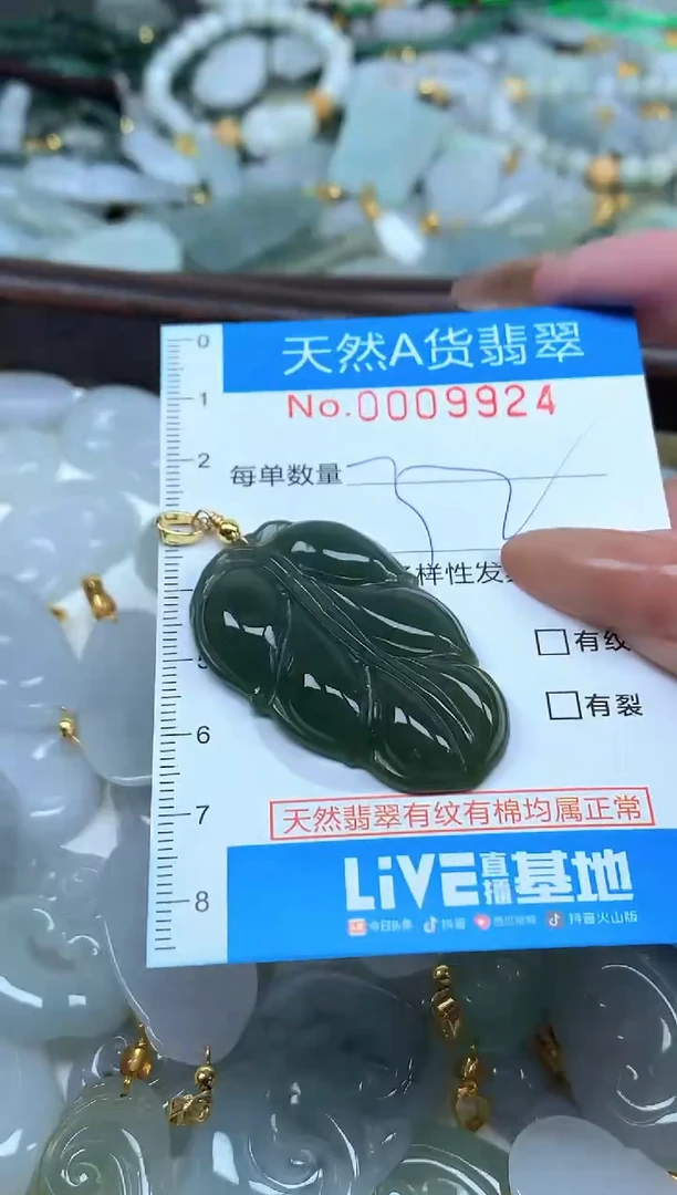 颈饰未镶嵌翡翠净货挂件-9924