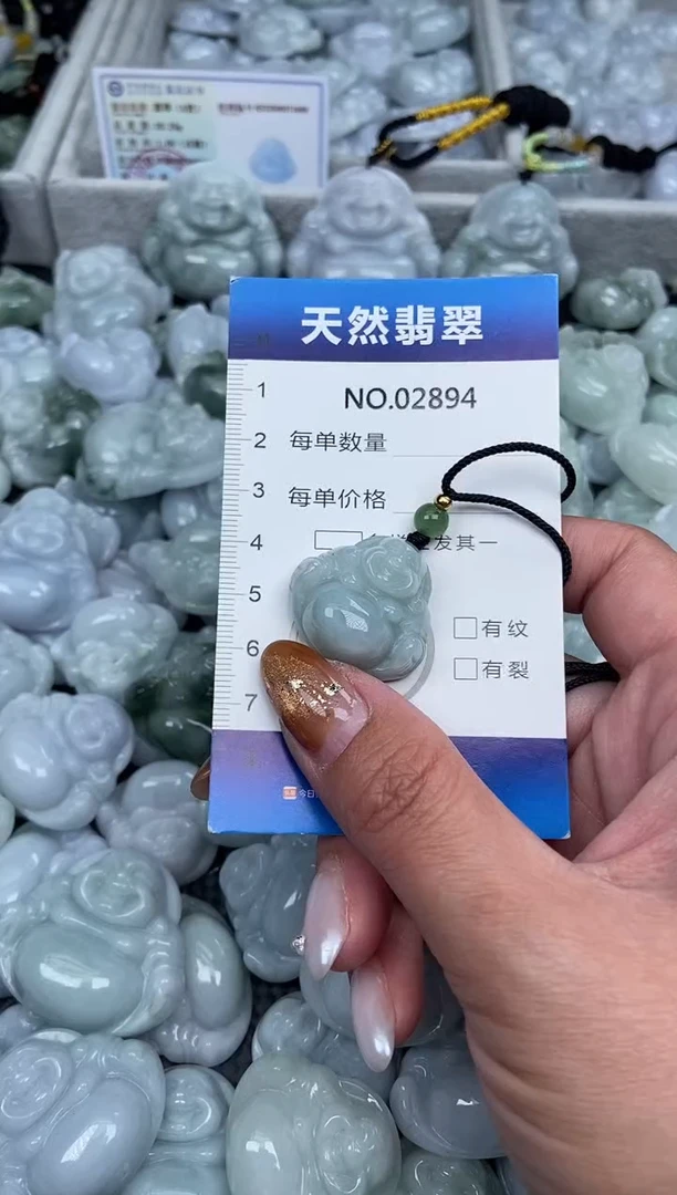 颈饰未镶嵌翡翠纯天然A货翡翠2894