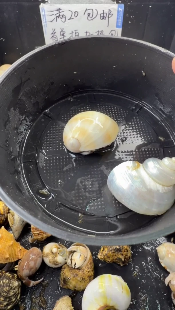 两只包活到手一只，不包全品