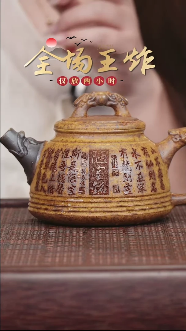 茶壶紫砂紫砂紫砂紫砂紫砂柴烧双龙戏珠