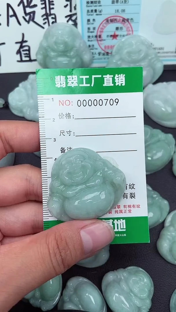 颈饰未镶嵌翡翠缅甸天然翡翠0783