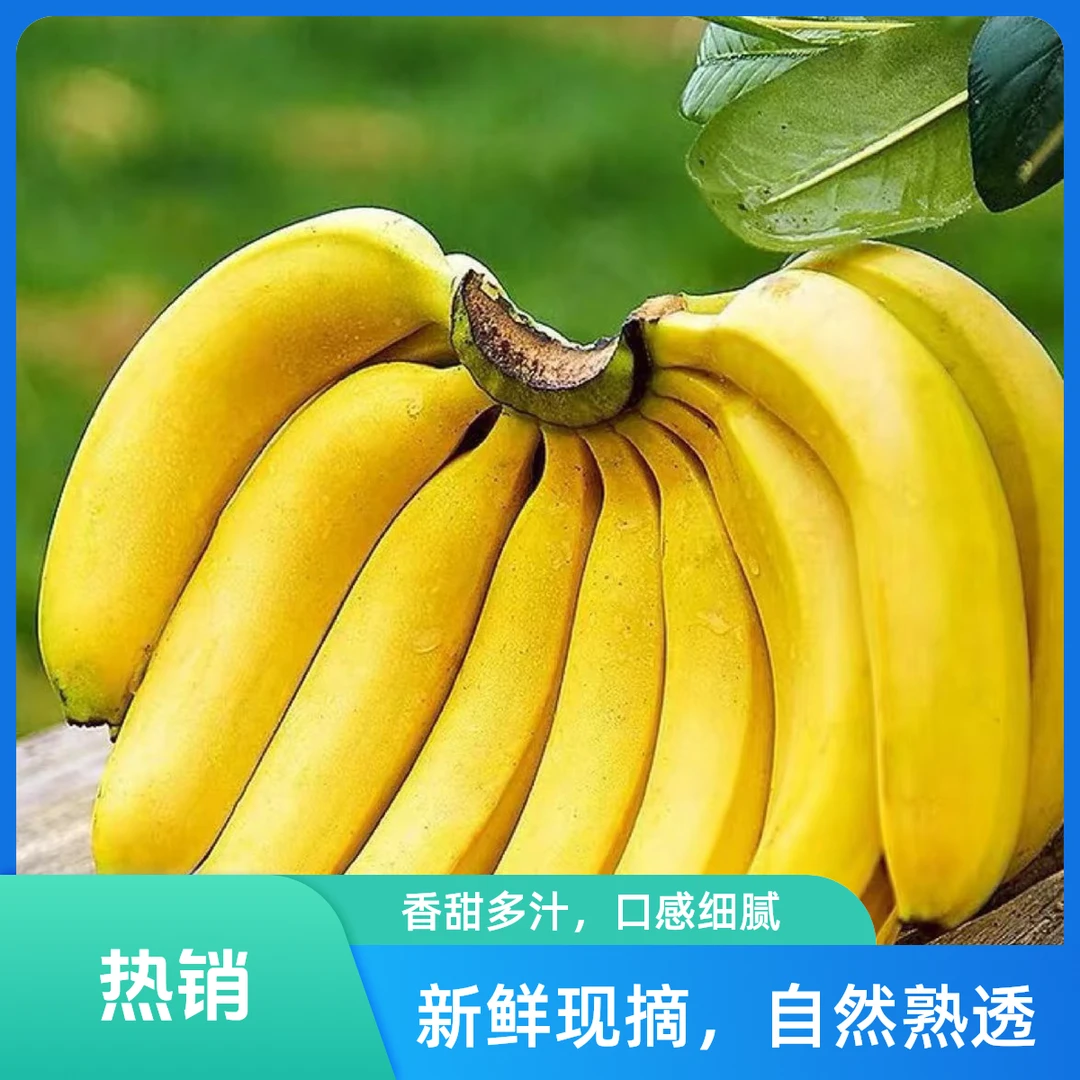 【必买爆品】新鲜香甜香蕉2斤10