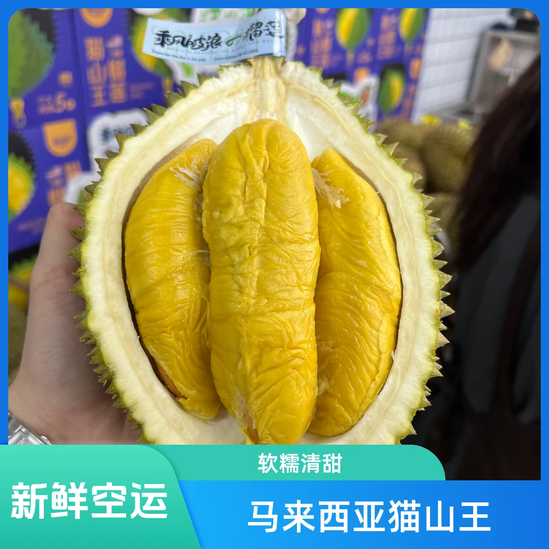 【乘风破浪的猫山王】新鲜空运马来西亚猫山王 1-3斤纯果肉榴莲  核大g猫山王马来西亚
