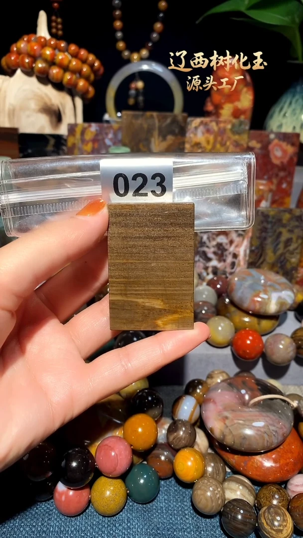 未镶嵌-硅化玉天然北票硅化玉吊坠