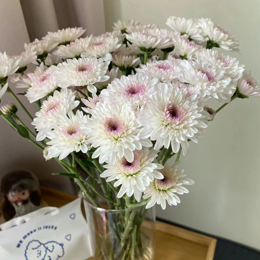 套餐13  稀有薇娅小菊3支+小天使康乃馨10支