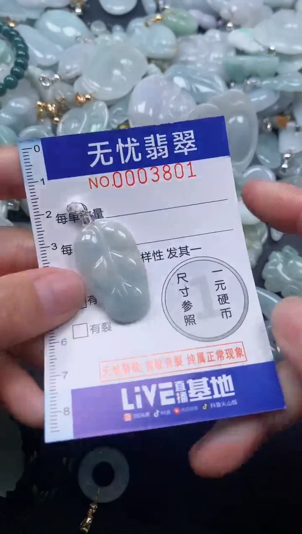 颈饰未镶嵌翡翠3801