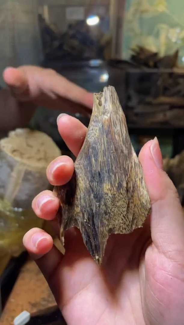 沉香沉香碎屑海南白棋83