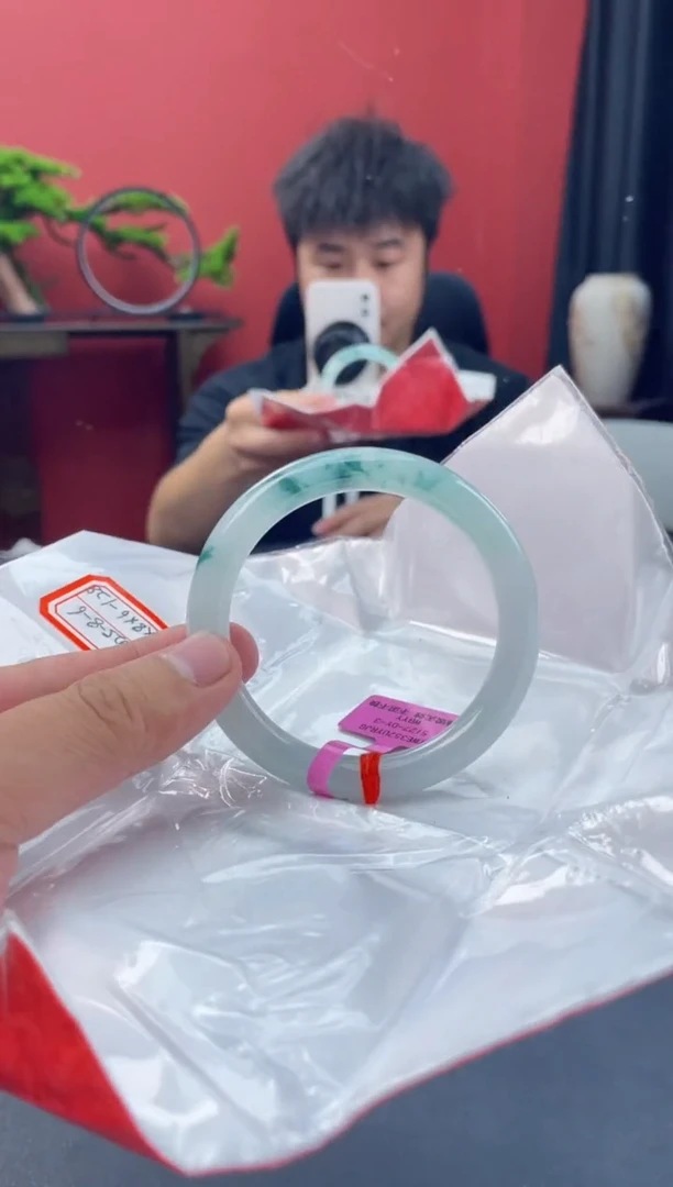 未镶嵌手镯翡翠5