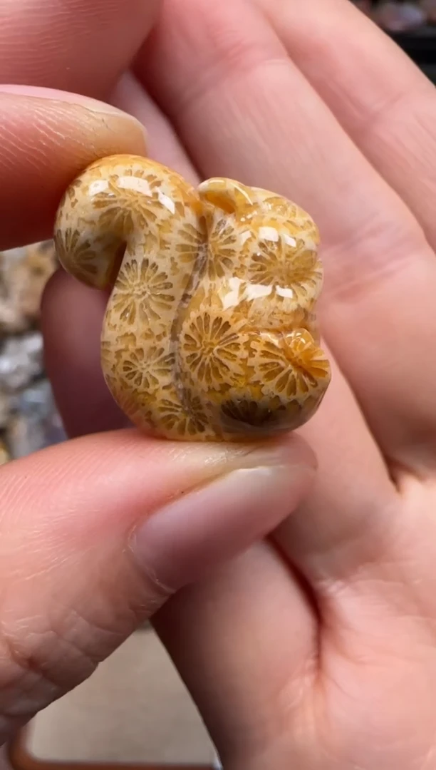 【闪购商品】硅化珊瑚（珊瑚玉）颈饰未镶嵌731