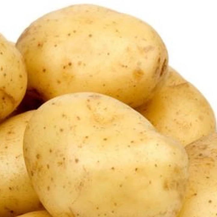 新鲜土豆本地土豆