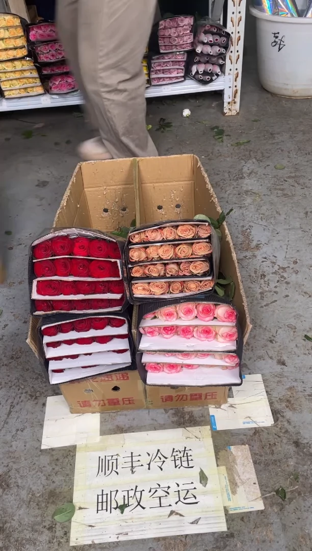 高原红2扎+艾沙1扎+卡布1扎