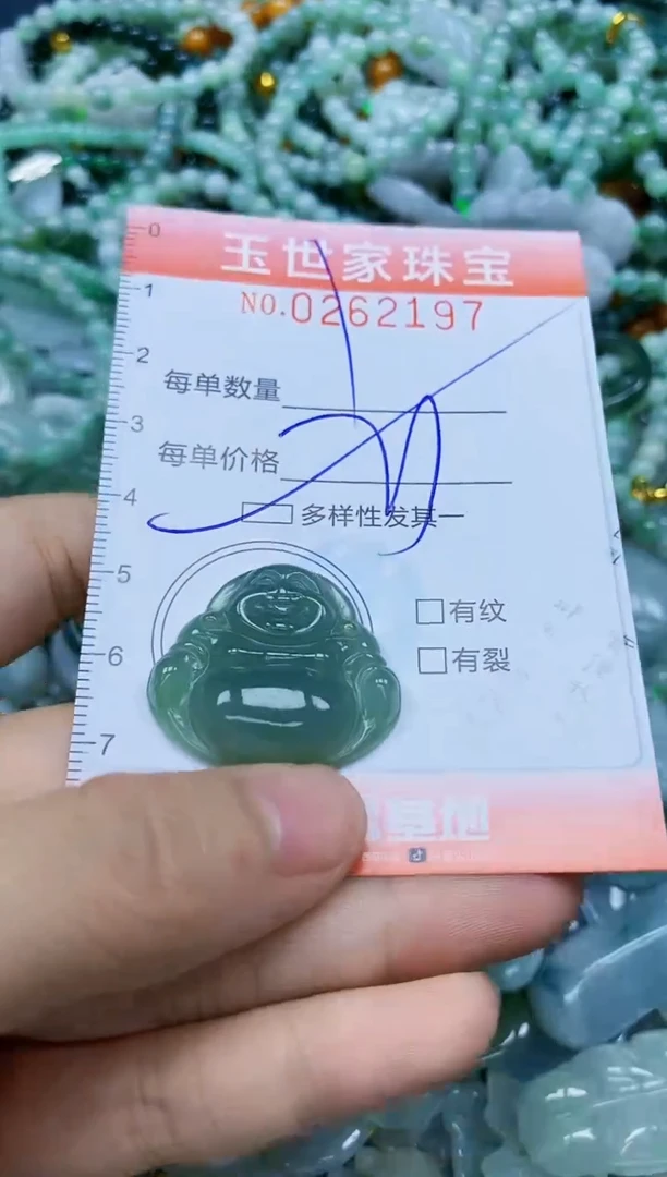 翡翠未镶嵌颈饰闪购0262197多样性发其一