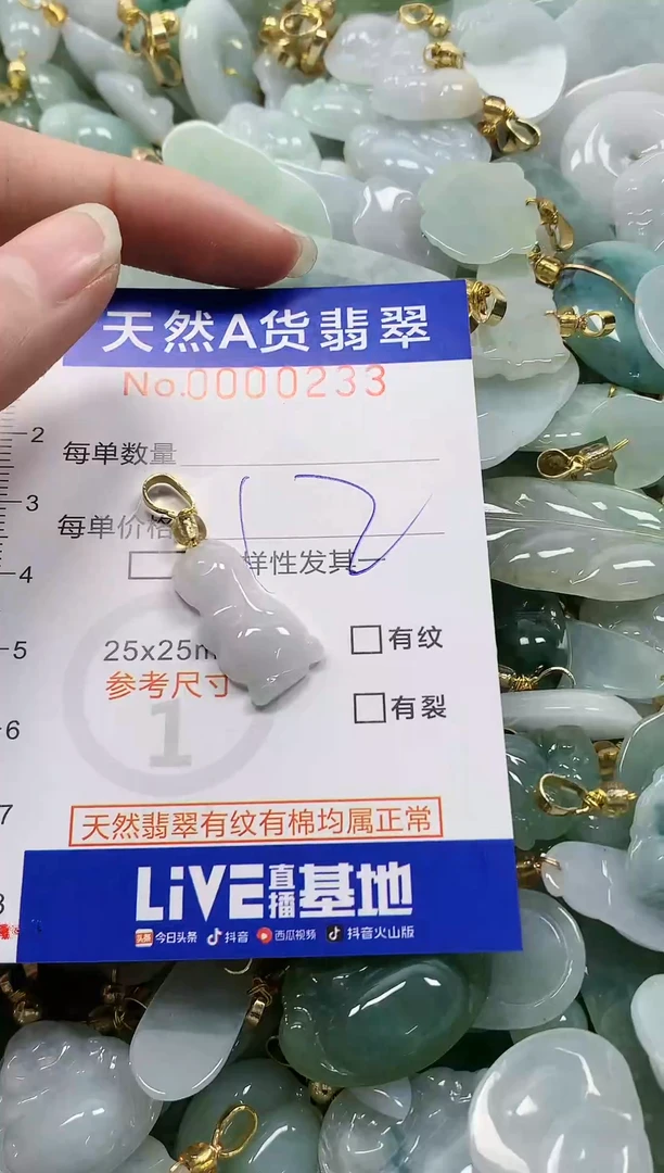 颈饰未镶嵌翡翠纯天然a货翡翠