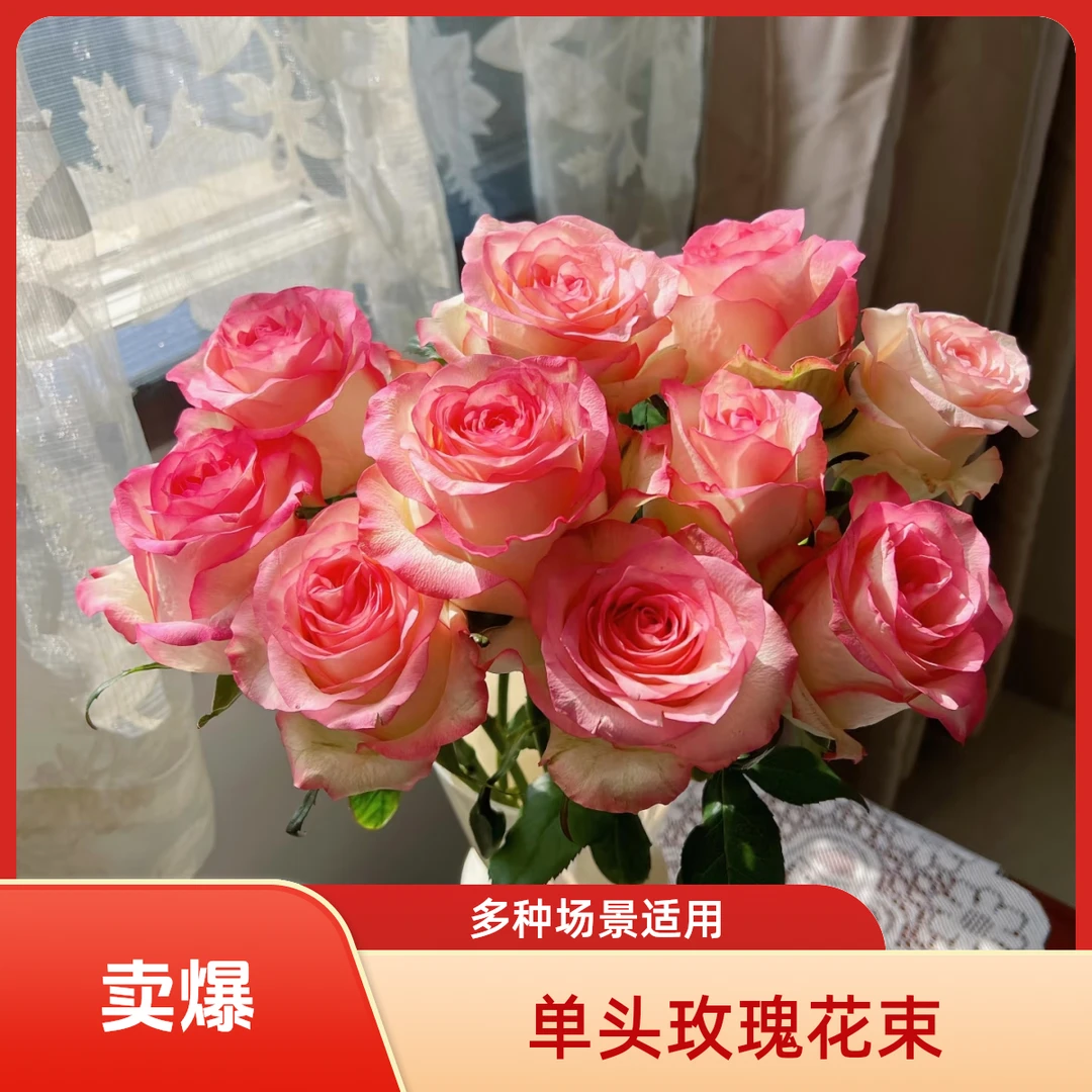 【电广好物】艾莎单头鲜花玫瑰10至20支工厂直发送礼繁星摆件花卉