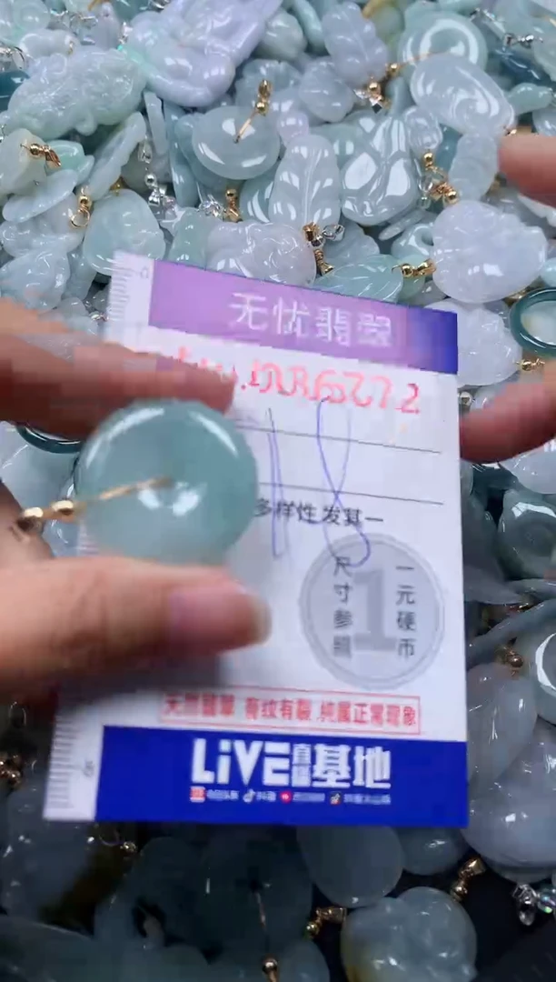 颈饰未镶嵌翡翠8672