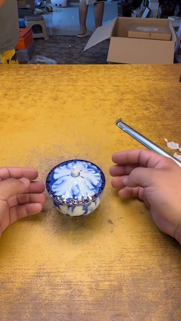 瓷器瓷器瑕疵破破110