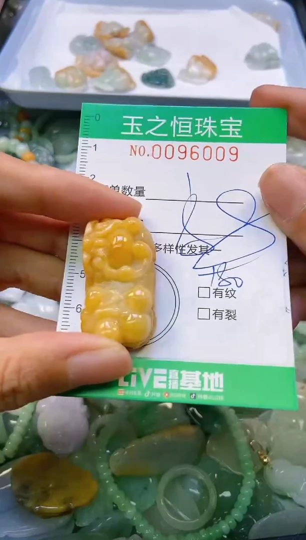 翡翠未镶嵌颈饰闪购0096009