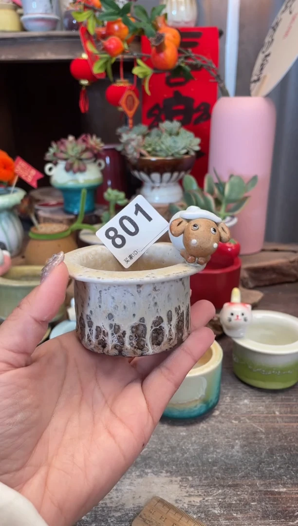 【闪购商品】摆件801知木小芳花盆