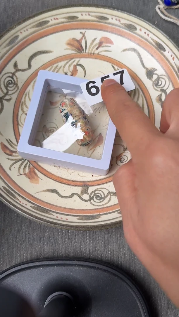 瓷片88888888888888