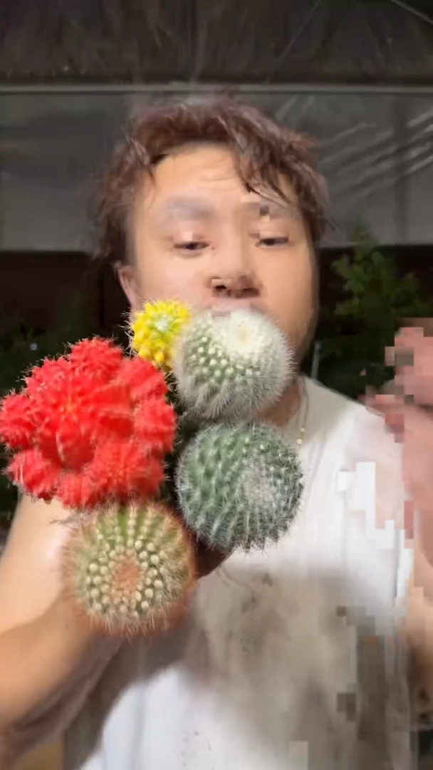 5色球组合【嫁接】