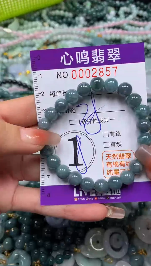 颈饰未镶嵌翡翠闪购002857